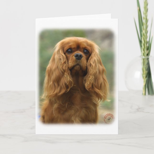 Cartão Cavalier King Charles Spaniel 9F51D-10 (Frente)
