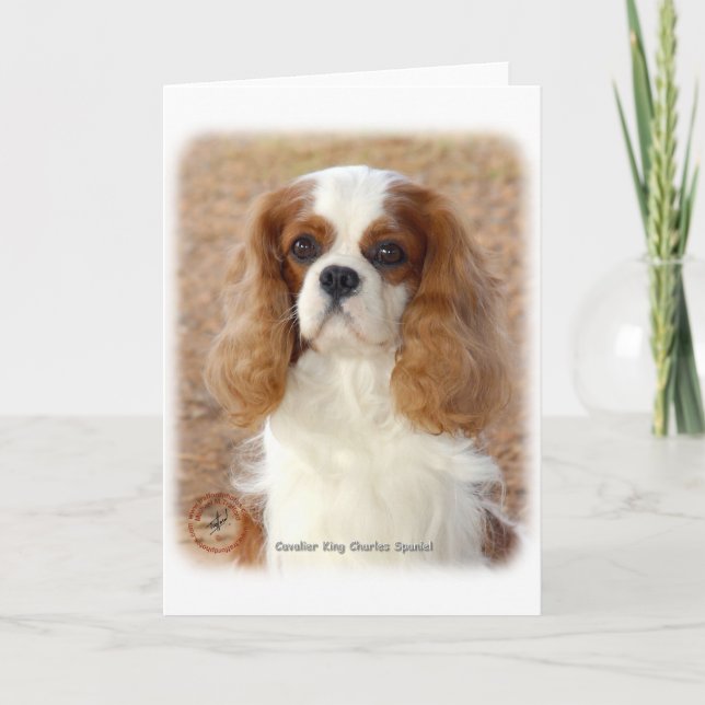 Cartão Cavalier King Charles Spaniel 9L005D- 08 (Frente)