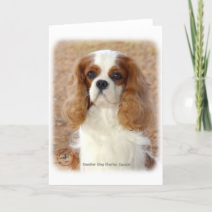 Cartão Cavalier King Charles Spaniel 9L005D- 08