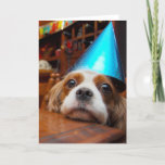 Cartão Cavalier King Charles Spaniel Birthday<br><div class="desc">Renae is a Cavalier King Charles Spaniel. You will find many photographs of Renae and her son Joey in this section.Here Renae waits patiently with her pretty blue party hat on to help Joey eat up all the dog friendly delicious snacks, to celebrate his Birthday.</div>