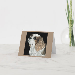 Cartão Cavalier King Charles Spaniel Card - Max