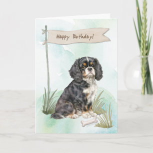 Cartão Cavalier King Charles Spaniel Cog Em Aniversário