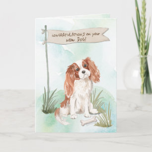 Cartão Cavalier King Charles Spaniel Congrats on New Dog