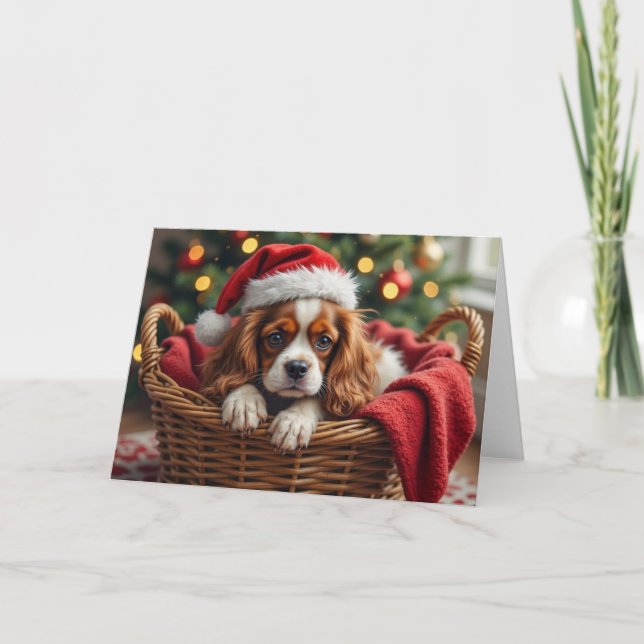 Cartão Cavalier King Charles Spaniel Cozy Basket (Frente)