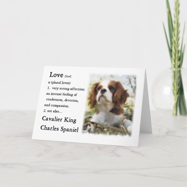 Cartão Cavalier King Charles Spaniel Gifts (Frente)