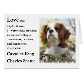 Cartão Cavalier King Charles Spaniel Gifts