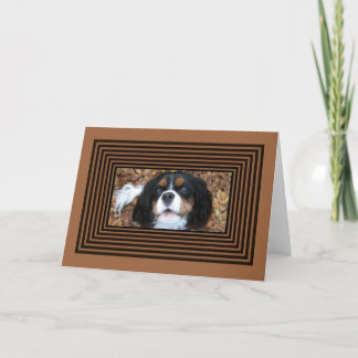 Cartão Cavalier King Charles Spaniel in fall leaves