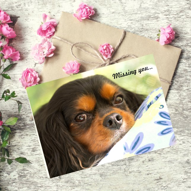 Cartão Cavalier King Charles Spaniel Missing You Card (Criador carregado)