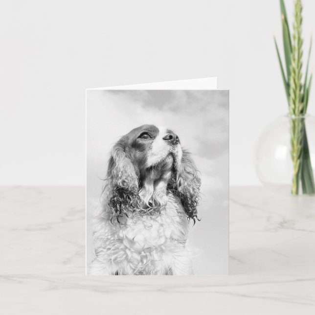 Cartão Cavalier King Charles Spaniel on a blank notecard (Frente)