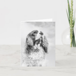 Cartão Cavalier King Charles Spaniel on a blank notecard