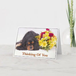 Cartão Cavalier King Charles Spaniel Pensando Em V
