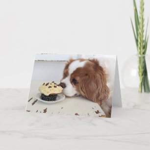 Cartão Cavalier King Charles Spaniel Sexta-feira Cupcake