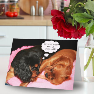 Cartão Cavalier King Charles Spaniel Vamos Compartilhar