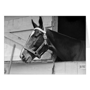 Cartão Cavalo