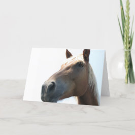Cartão Cavalo