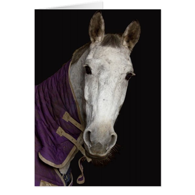 Cartão Cavalo (Frente)