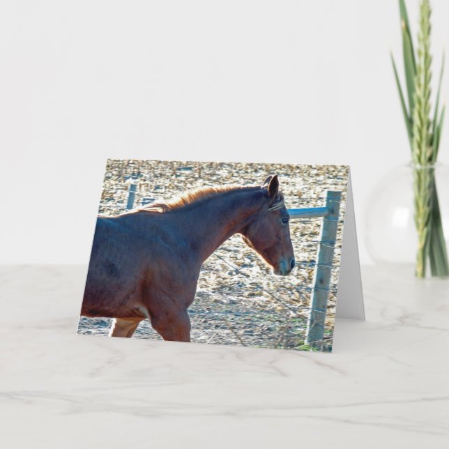 Cartão Cavalo (Frente)