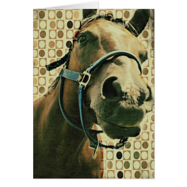 Cartão Cavalo (Frente)