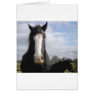Cartão Cavalo