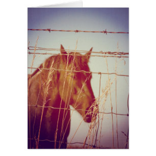 Cartão Cavalo abstrato atrás da cerca