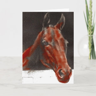 Cartão cavalo amigável