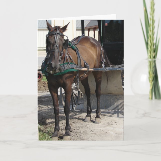 Cartão Cavalo Amish no Poste de Arreio (Frente)