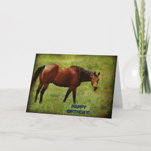 Cartão Cavalo Baio, Aniversário