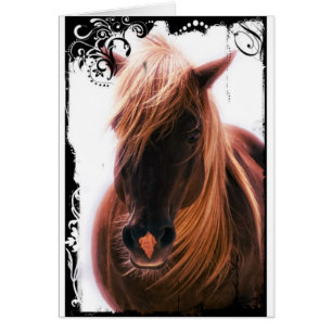 Cartão Cavalo bonito