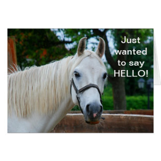 Cartão Cavalo Branco