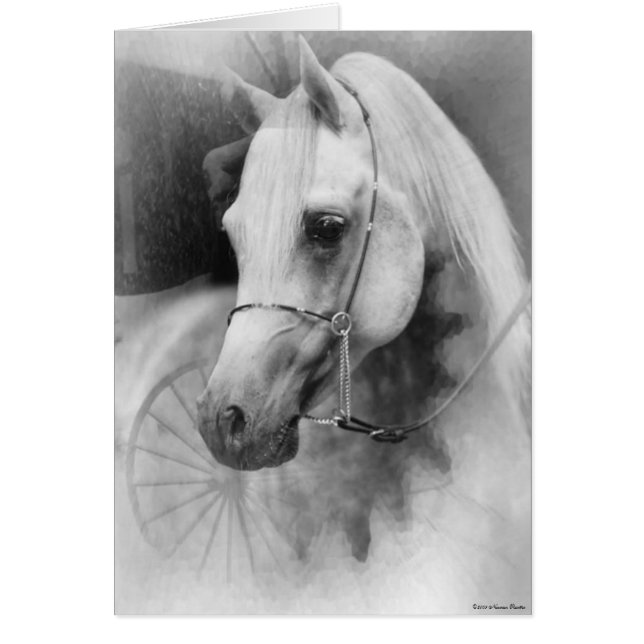 Cartão Cavalo Branco (Frente)