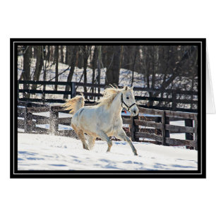 Cartão Cavalo branco de galope