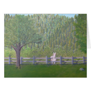 Cartão Cavalo branco no campo