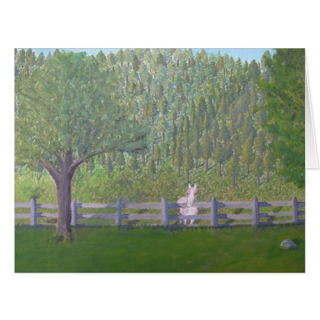 Cartão Cavalo branco no campo (Frente horizontal)