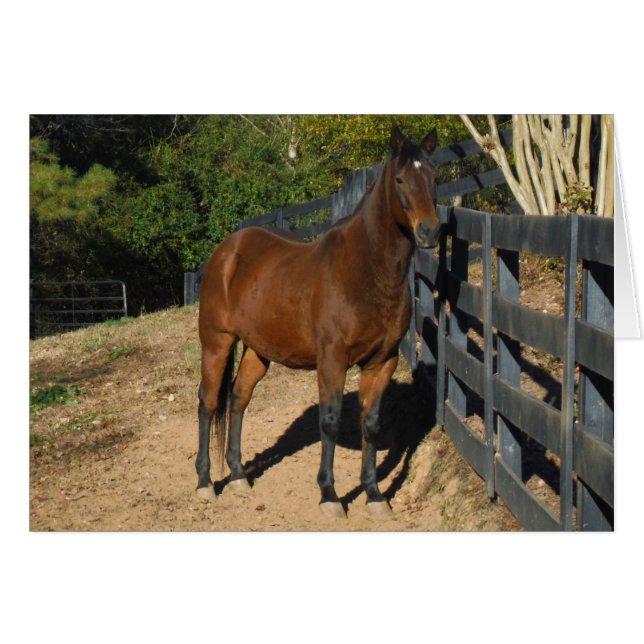 Cartão Cavalo castanho contra cerca (Frente Horizontal)