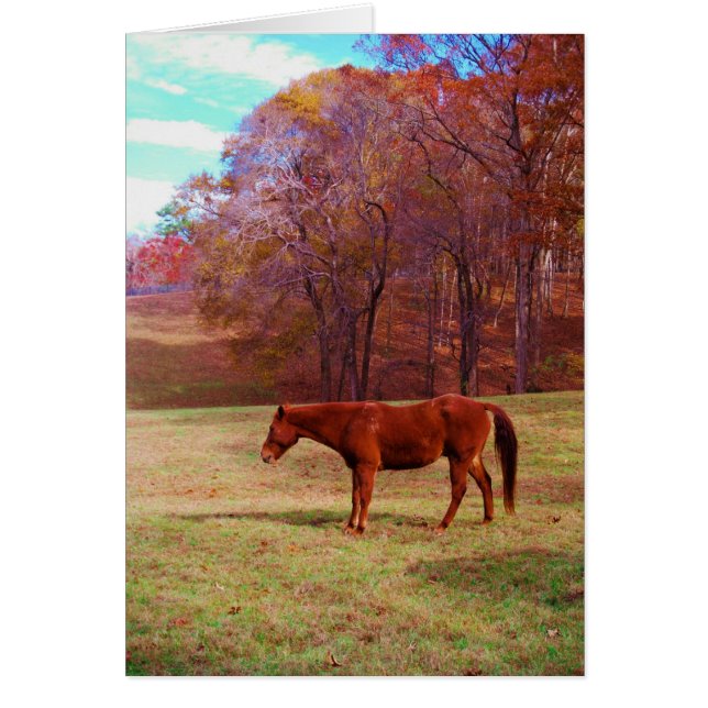 Cartão Cavalo castanho num campo de grama (Frente)