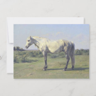 Cartão Cavalo Cinza em um Campo (por Rosa Bonheur)