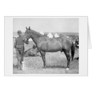 Cartão Cavalo "Comanche", o único sobrevivente do Custer