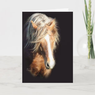 Cartão Cavalo contra o preto