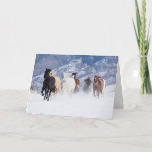 Cartão Cavalo Correndo Através da Neve