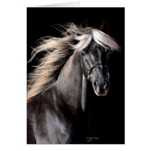 Cartão Cavalo da montanha rochosa de Choco