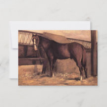 Cavalo de Baía Vermelha nos estábulos