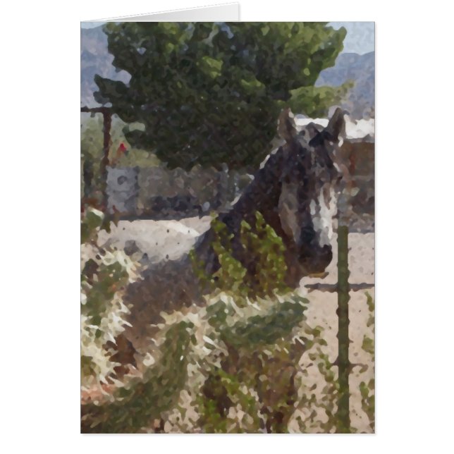 Cartão Cavalo de cinza em Catco (Frente)