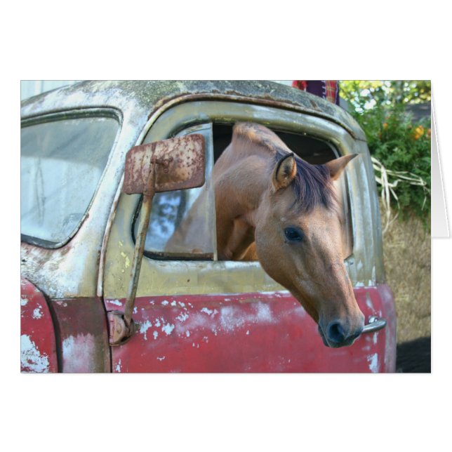 Cartão Cavalo de condução automóvel (Frente Horizontal)