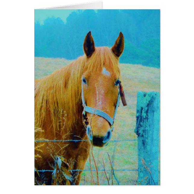 Cartão Cavalo de cor azul Denim (Frente)