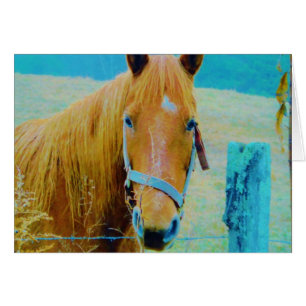 Cartão Cavalo de cor azul Denim