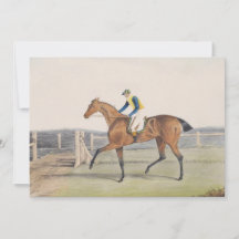 Cavalo de Corrida Britânico (Duquesa)