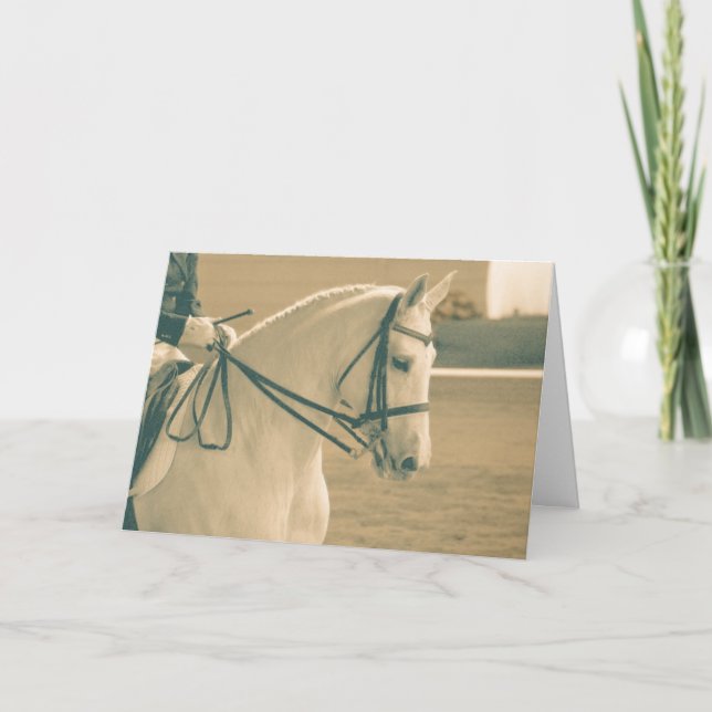 Cartão Cavalo de Dressage (Frente)