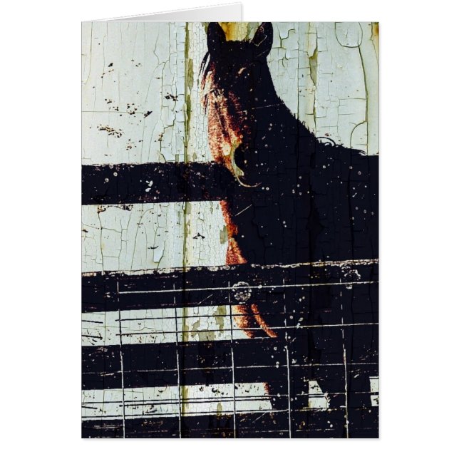 Cartão Cavalo de inverno (Frente)