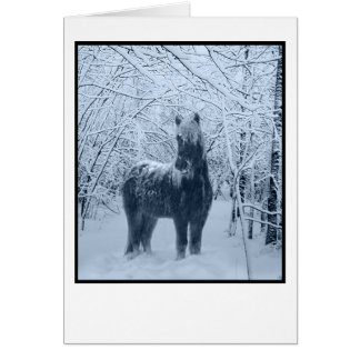 Cartão Cavalo de neve do inverno