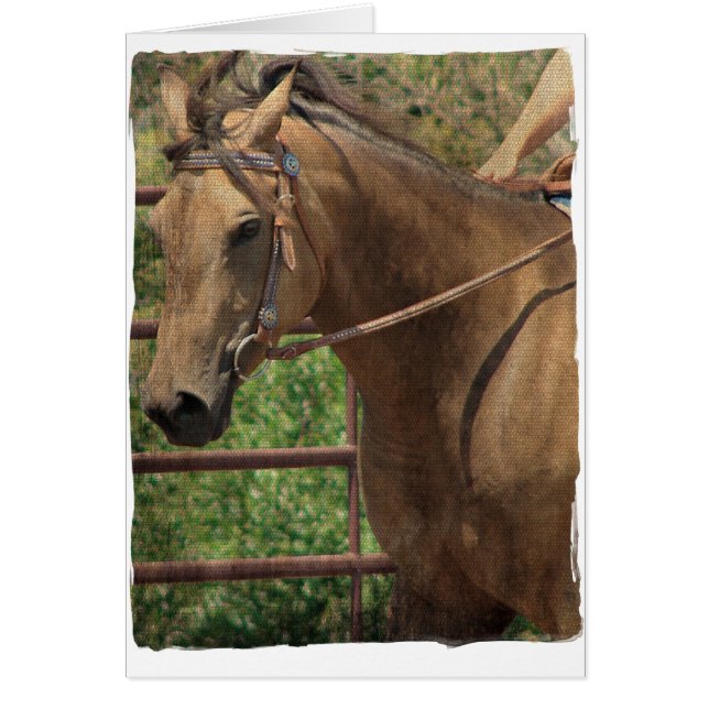 Cartão Cavalo de Pele de Baleia Ocidental (Frente)